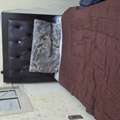 Fully Furnished Single Bed Space Available In 2BHK Apartment - Family Building