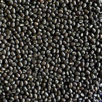 New Delhi, Food, INR 114,  Pulses Importers &ndash; Chokadi Brokers