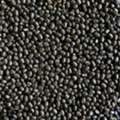 INR 114,  Pulses Importers &ndash; Chokadi Brokers