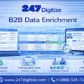 B2B Data Enrichment For Accurate Business Information