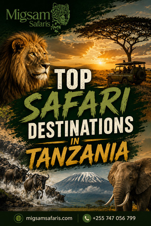 Dar es Salaam, Travel, Top Safari Destinations In Tanzania