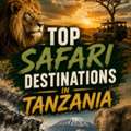 Top Safari Destinations In Tanzania