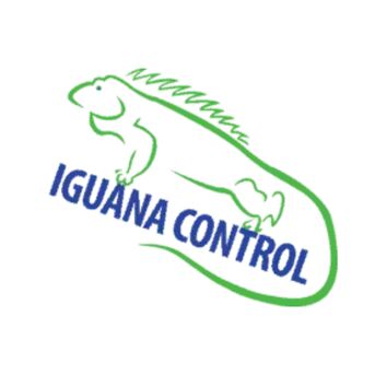 New York, Pest Control, Iguana Removal In South Florida - Iguana Control