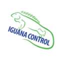 Iguana Removal In South Florida - Iguana Control