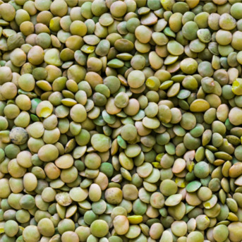 New Delhi, Food, INR 114,  Best Pulses Suppliers In India &ndash; Chokadi Brokers