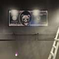 Custom Vinyl Wall Graphics In San Jose By Touchstone Signs & Graphics