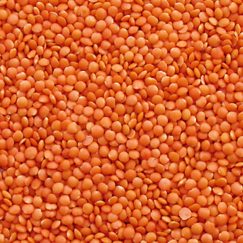 New Delhi, Food, INR 85,  Bulk Pulses Suppliers In India | Chokadi Brokers