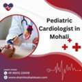Pediatrician Cardiologist In Mohali &ndash; Safe & Trusted Heart Care For Children