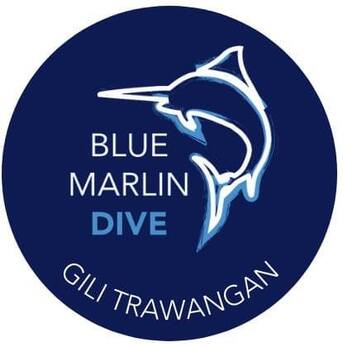 Jakarta, Travel, Blue Marlin Dive