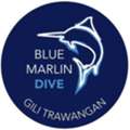 Blue Marlin Dive