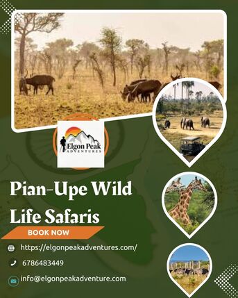 Kampala, Travel, Pian-Upe Wild Life Safaris