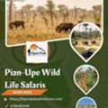 Pian-Upe Wild Life Safaris