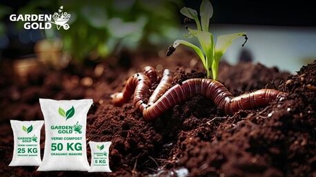 Ahmedabad, Farm & Garden, INR 500,  Advantages Of Vermicomposting For Healthy Plant Growth