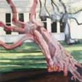 Buy Original Acrylic Paintings Online By Mary Hrbacek Studio Gallery
