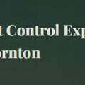 Pest Control Experts Of Thornton