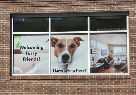 New York, Business, Premium Vinyl Signs In Denver | Custom Vinyl Decals By Graphicworks Sign Company