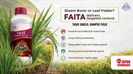 Visakhapatnam, Farm & Garden, INR 400,  Best Insecticides For Farmers | Faita For Paddy Cultivation
