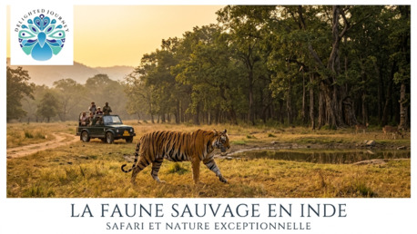 New Delhi, Travel, La Faune Sauvage En Inde : Safari Et Nature Exceptionnelle