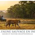 La Faune Sauvage En Inde : Safari Et Nature Exceptionnelle