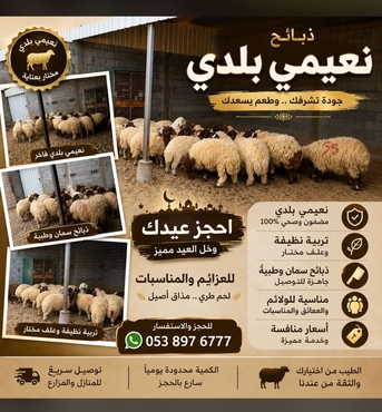 Khobar, Business, For Reservations For Eid Al-Adha.