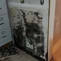 Mold Removal Company In Whitefish, MT | Mold Cleanup Experts
