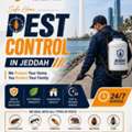 Trusted Pest Control Experts In Jeddah