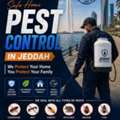 Reliable & Affordable Pest Control In Jeddah