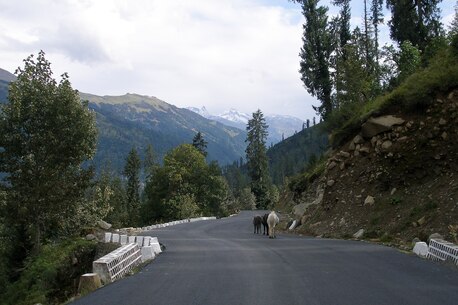 Noida, Travel, Desnor Destination Pvt. Ltd | All Rights Reserved | Powered By TraviYo
