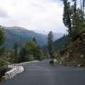 Desnor Destination Pvt. Ltd | All Rights Reserved | Powered By TraviYo
