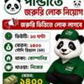 🐼 পান্ডাতে জরুরি লোক নিয়োগ 🐼