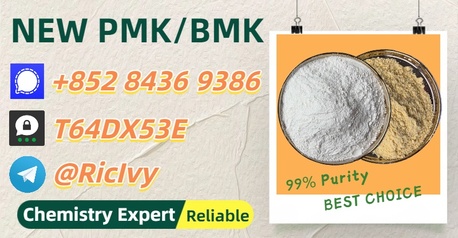 Sydney, Materials, AUD 200,  Commitment To Ship 28578-16-7 As Promised B.MK CAS 5449-12-7