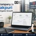 Top SEO Company In Janakpuri - DDMS