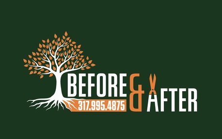 New York, Construction, Before & After Outdoor Living