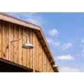 Shed Wiring In Carrboro