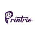 Upgrade Your Business Space With Premium Commercial Wallpaper In Dubai &ndash; Printrie Dubai