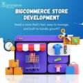 BigCommerce Store Development Company In USA For Growing Online Brands