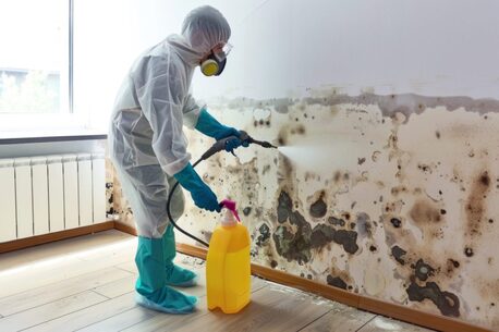 Dubai, Cleaning, Certified Mold Removal Dubai &ndash; Safe & Professional Mold Treatment