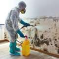 Certified Mold Removal Dubai &ndash; Safe & Professional Mold Treatment