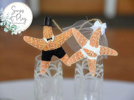 New York, Photography, Looking For A Professional Wedding Photography Contract Guide?