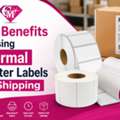 GBP 6,  Top Benefits Of Using Thermal Printer Labels For Shipping