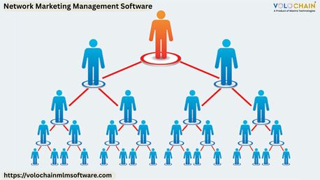 Noida, Software Development, Increase Revenue Through Network Marketing Management Tools