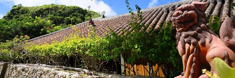 New York, Travel, Best Honolulu To Okinawa Travel Packages - N & K Travel Service