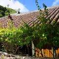 Best Honolulu To Okinawa Travel Packages - N & K Travel Service