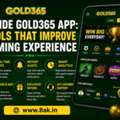 Inside Gold365 App: Tools That Improve Gaming Experience