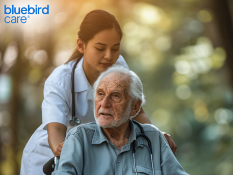 London, Health, Trusted Elderly Companion Care Enfield UK For Comfort, Friendship, And Daily Support