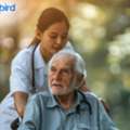 Trusted Elderly Companion Care Enfield UK For Comfort, Friendship, And Daily Support