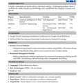 Computer Science / AI & DS Graduate Seeking IT Job
