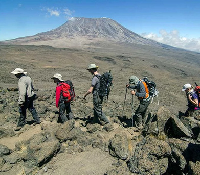 New York, Travel, Affordable Kilimanjaro Climbing Tours In Tanzania