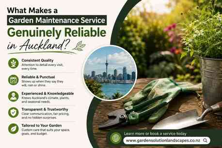 Auckland, Web Design & Development, What Makes A Garden Maintenance Service Genuinely Reliable In Auckland?