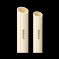 CPVC Pipe